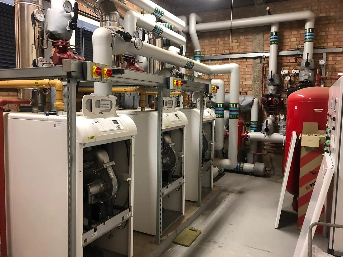 A commercial boiler plant room installed by 1st Choice — insulated pipework and floor-standing boilers